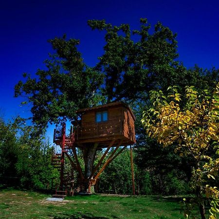 Bed and Breakfast Casa sull'albero Bocchineri Rogliano Esterno foto