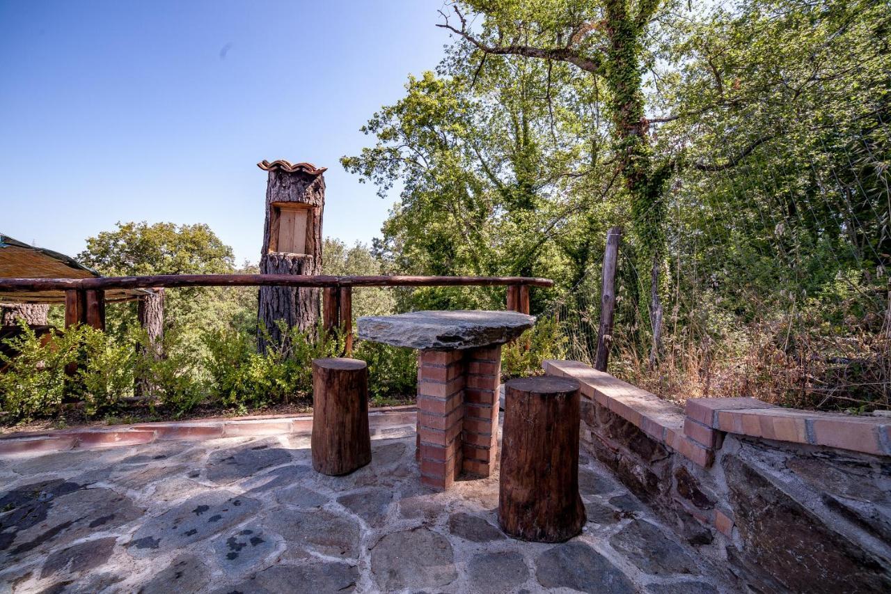 Bed and Breakfast Casa sull'albero Bocchineri Rogliano Esterno foto