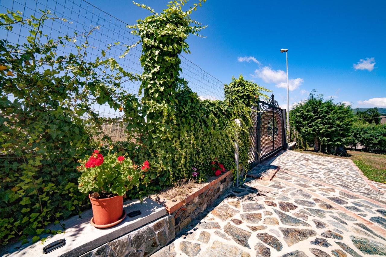 Bed and Breakfast Casa sull'albero Bocchineri Rogliano Esterno foto