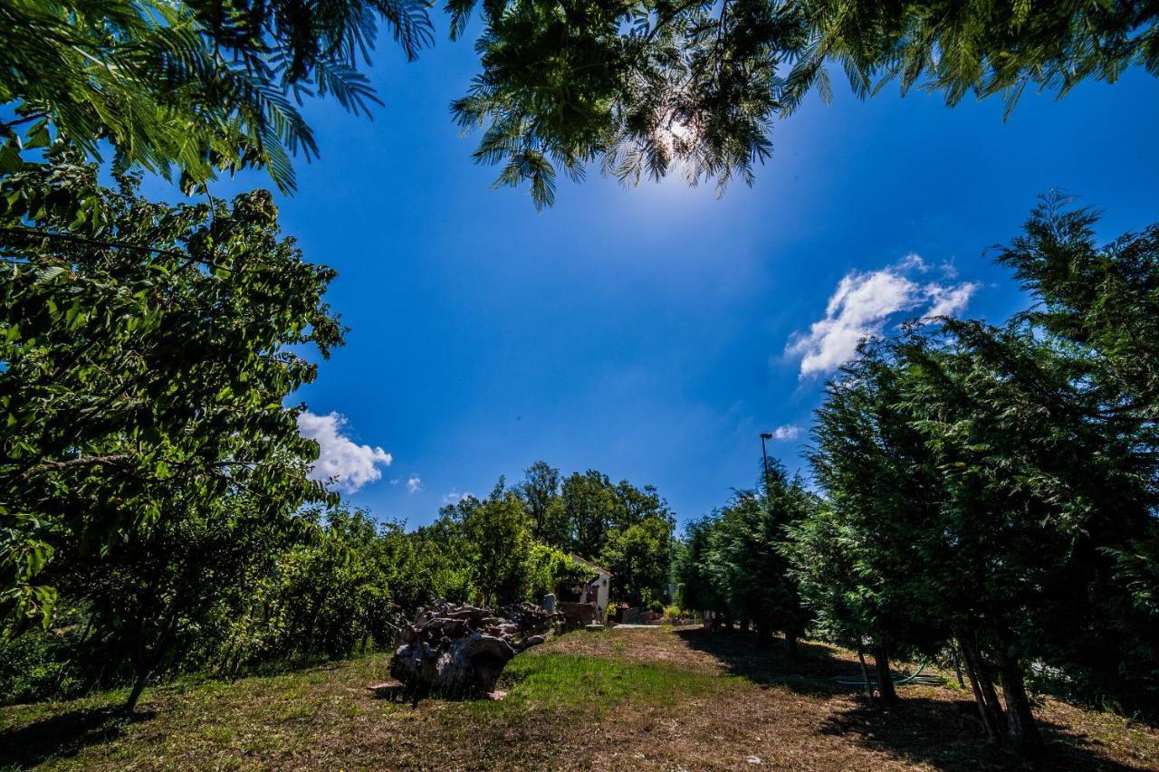 Bed and Breakfast Casa sull'albero Bocchineri Rogliano Esterno foto