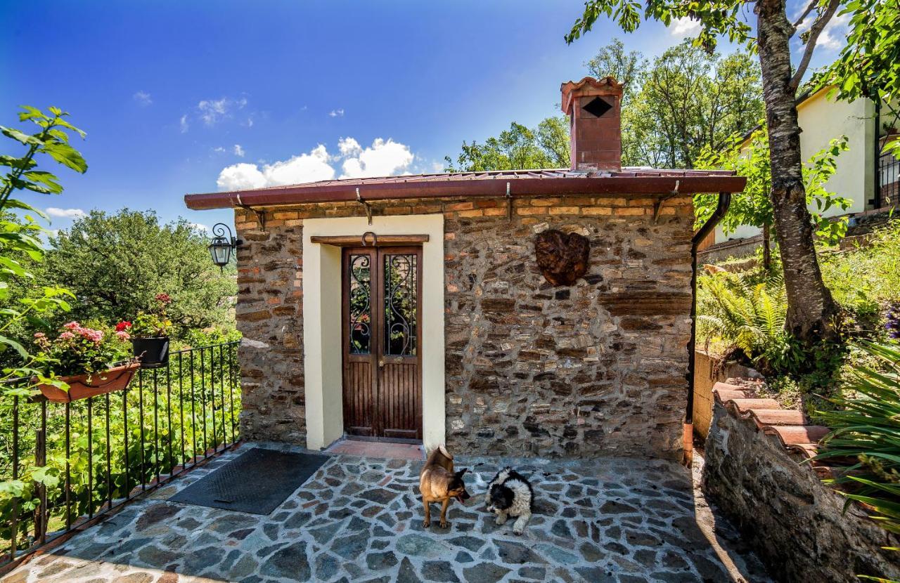 Bed and Breakfast Casa sull'albero Bocchineri Rogliano Esterno foto