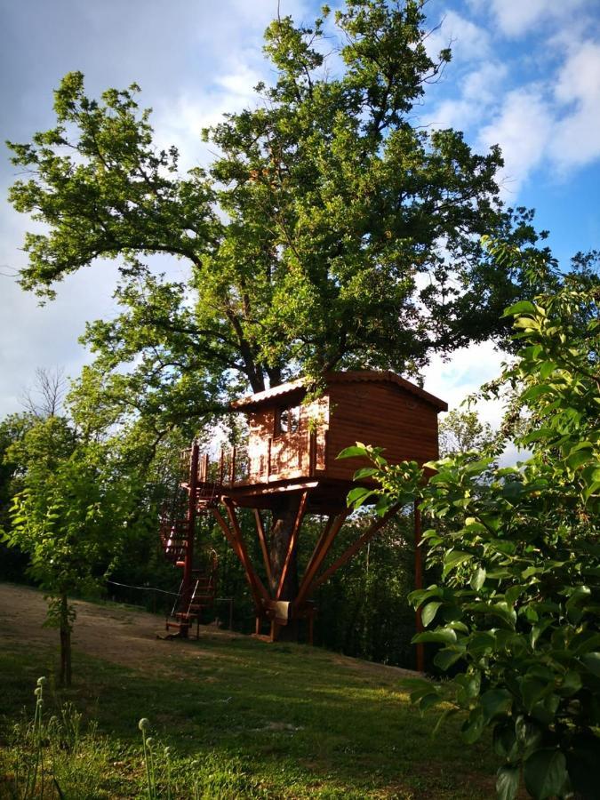 Bed and Breakfast Casa sull'albero Bocchineri Rogliano Esterno foto