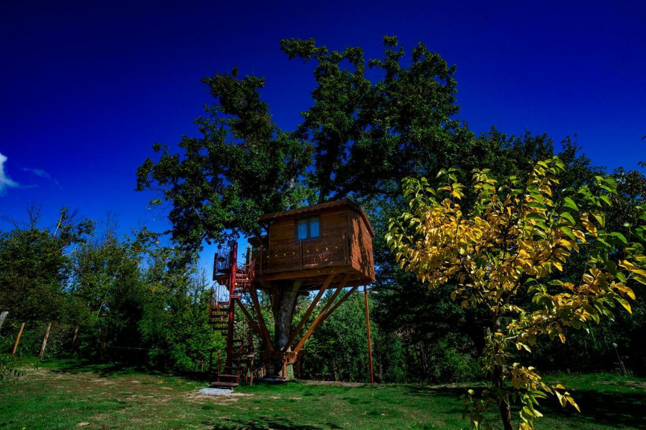 Bed and Breakfast Casa sull'albero Bocchineri Rogliano Esterno foto