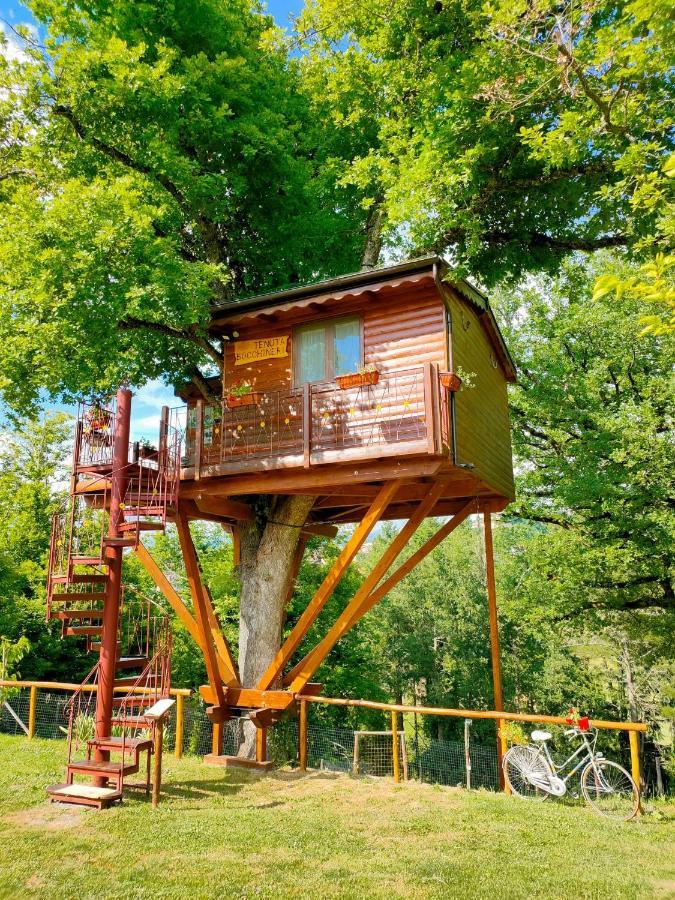 Bed and Breakfast Casa sull'albero Bocchineri Rogliano Esterno foto