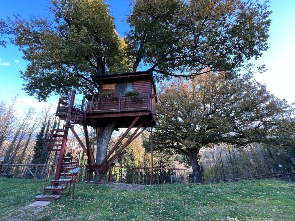 Bed and Breakfast Casa sull'albero Bocchineri Rogliano Esterno foto