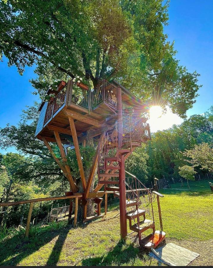 Bed and Breakfast Casa sull'albero Bocchineri Rogliano Esterno foto