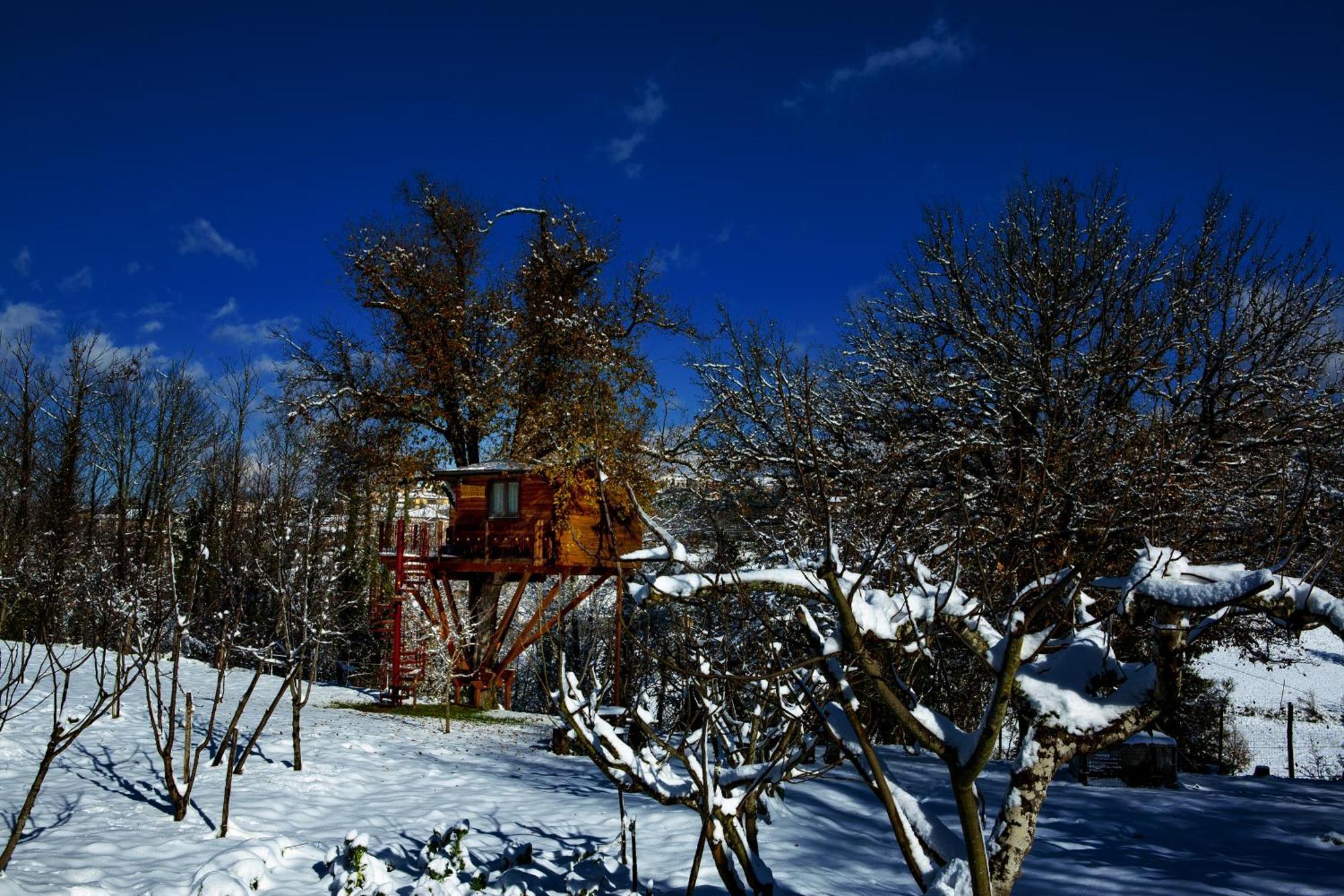 Bed and Breakfast Casa sull'albero Bocchineri Rogliano Esterno foto