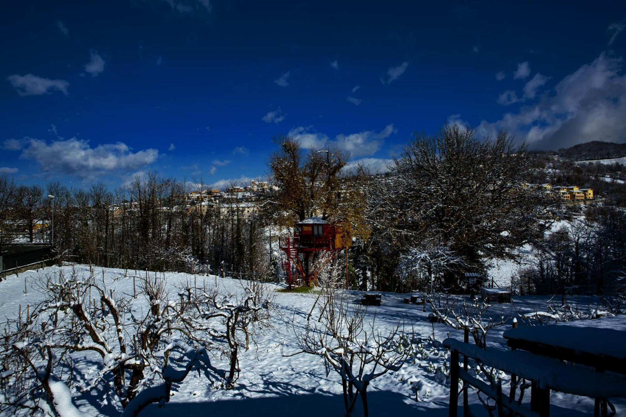 Bed and Breakfast Casa sull'albero Bocchineri Rogliano Esterno foto
