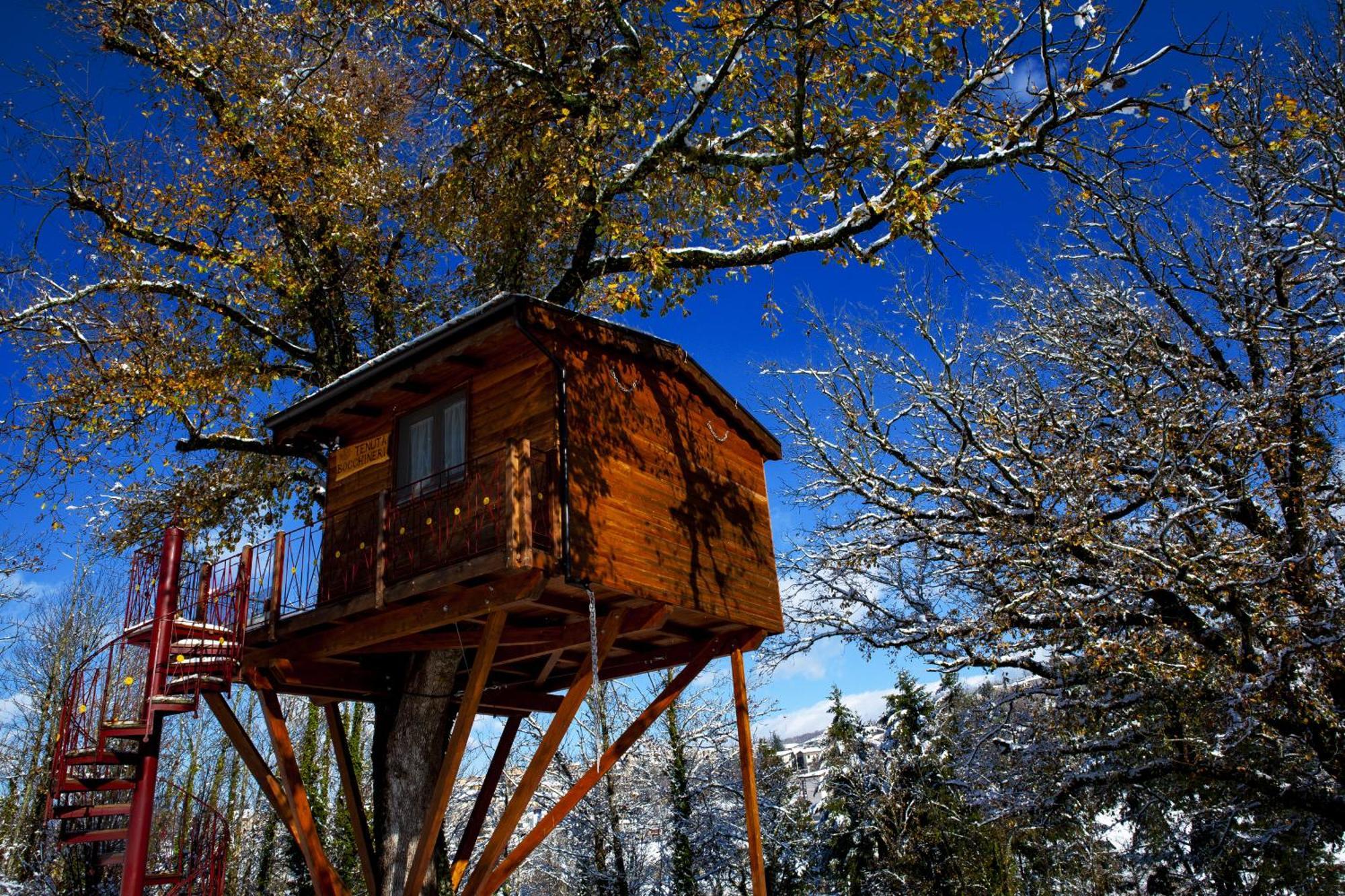 Bed and Breakfast Casa sull'albero Bocchineri Rogliano Esterno foto